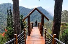 CAMPOS DO JORDÃO e Santo Antonio do PInhal